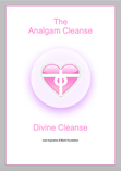 The Analgam Cleanse